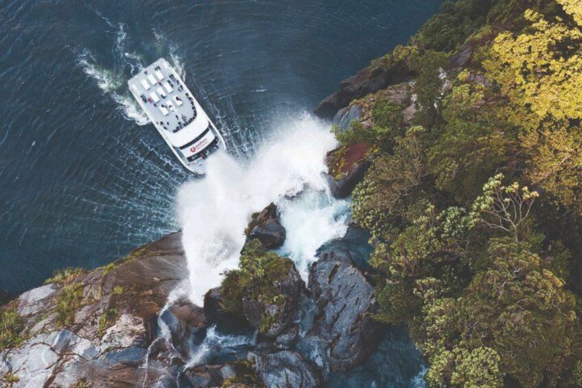 From Te Anau: Milford Sound Cruise & Glass-Roof Coach Tour 3
