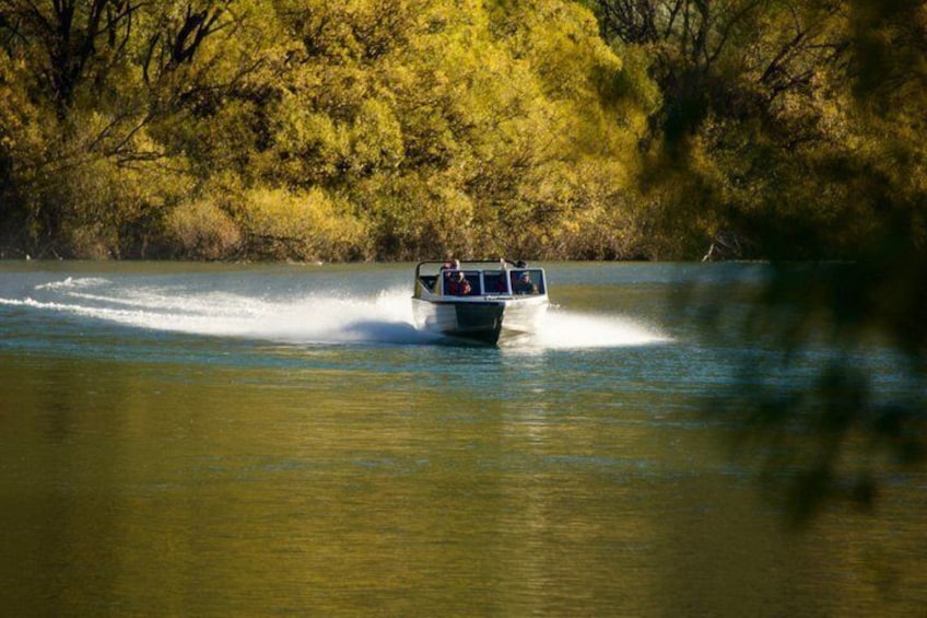 Mt Aspiring Jet Boat & Wilderness Walk - Small-Group, Wanaka 2