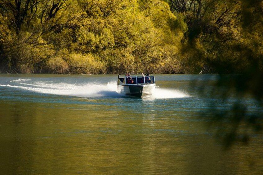 A boat moving through a river surrounded by trees. 2