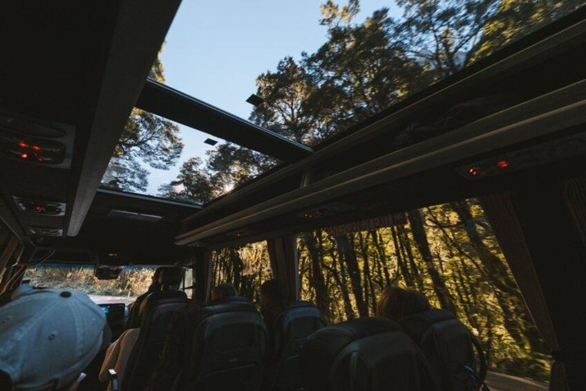 Glass Roof, Small Group, Milford Sound Day Tour from Queenstown 2