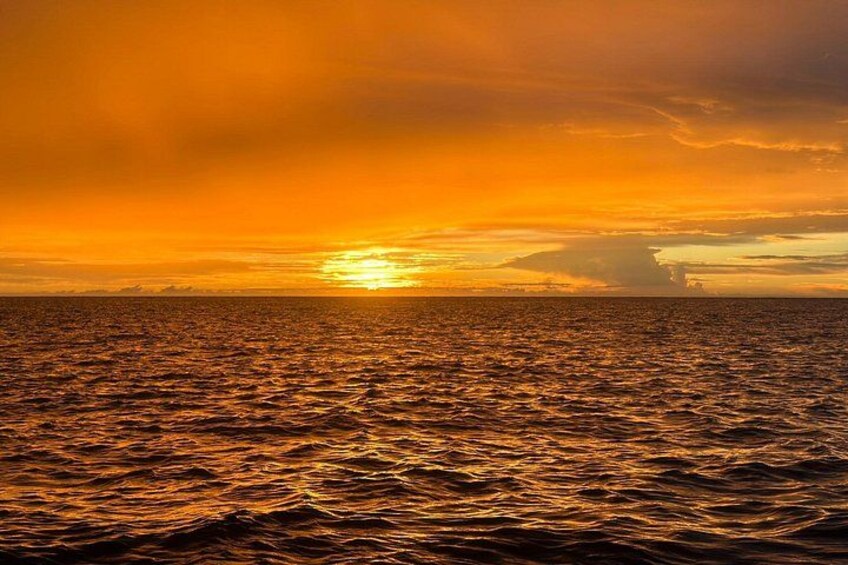 Sunset Manta 5