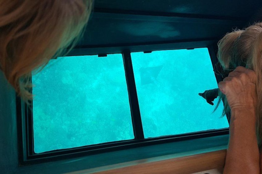 Eagle Ray under the glass 2