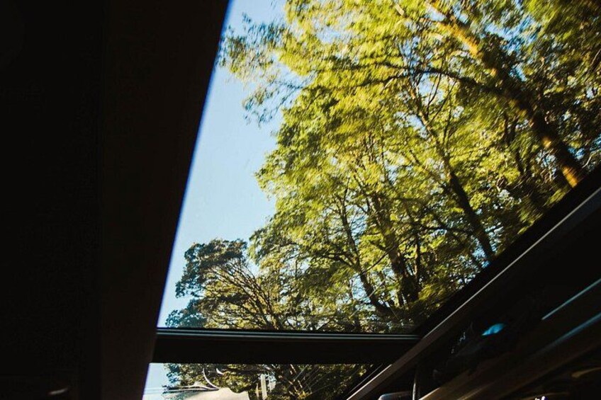 Option to upgrade to a glass-roof van for a gold-class experience 3