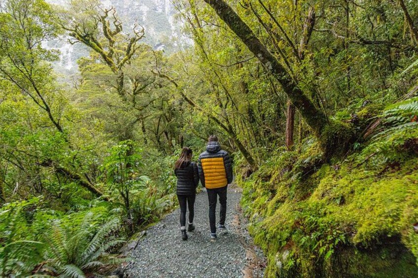 Exploring Fiordland National Park 2