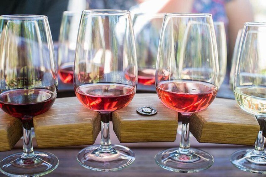Wanaka Wine Tours - Boutique Tour 4