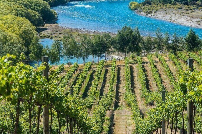 Wanaka Wine Tours - Boutique Tour 3