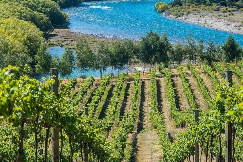 Wanaka Wine Tours - Boutique Tour 2