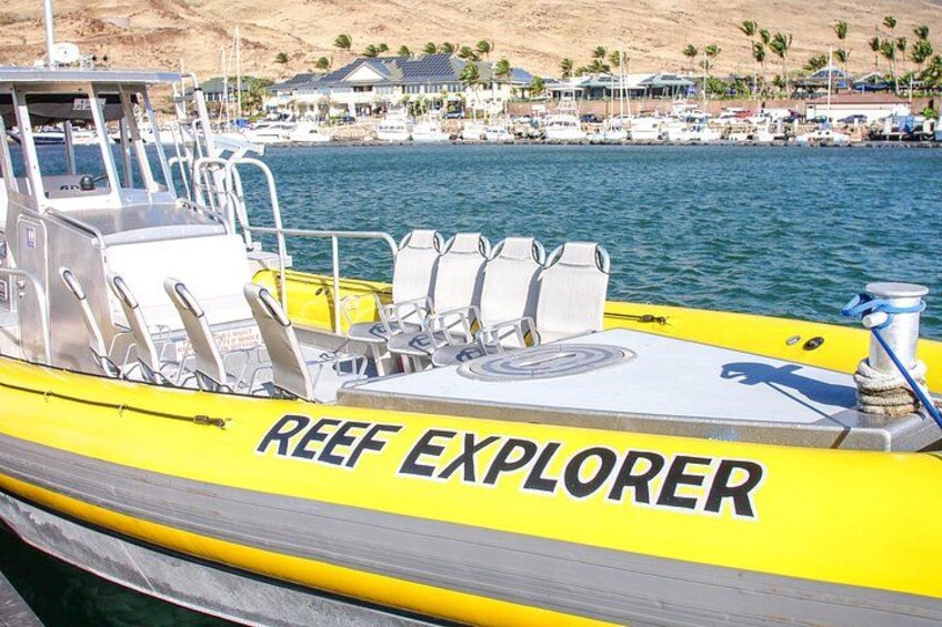 Molokini Crater Snorkel and Turtle Cove High Quality Adventure! 2