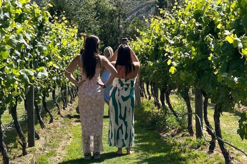 Queenstown Afternoon Wine Tour: Gibbston Valley | NZ Local Guide 5