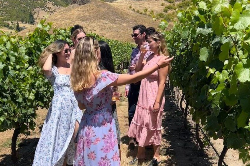 A group of people in a vineyard. 4