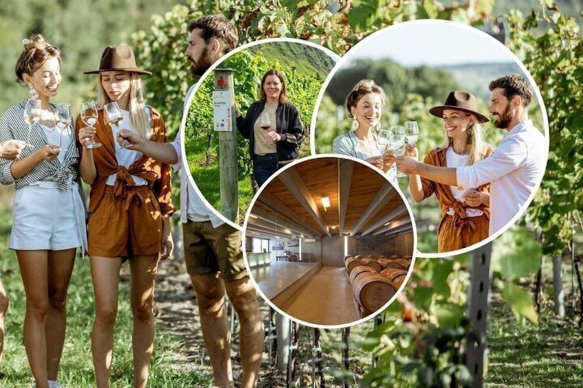 Queenstown Afternoon Wine Tour: Gibbston Valley | Adults Only 1