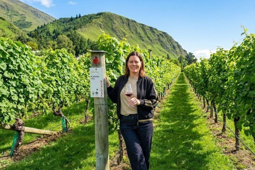 Queenstown Afternoon Wine Tour: Gibbston Valley | Adults Only 4