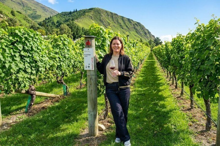Queenstown Wine Tour: Two Wine Regions & Wine Cave | Adults Only 2