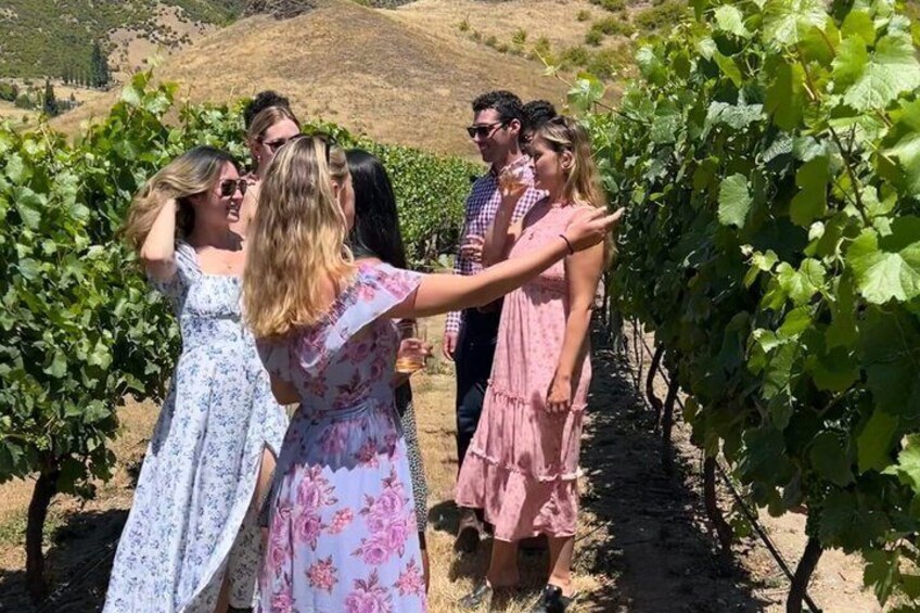 Queenstown Wine Tour: Two Wine Regions & Wine Cave | Adults Only 3