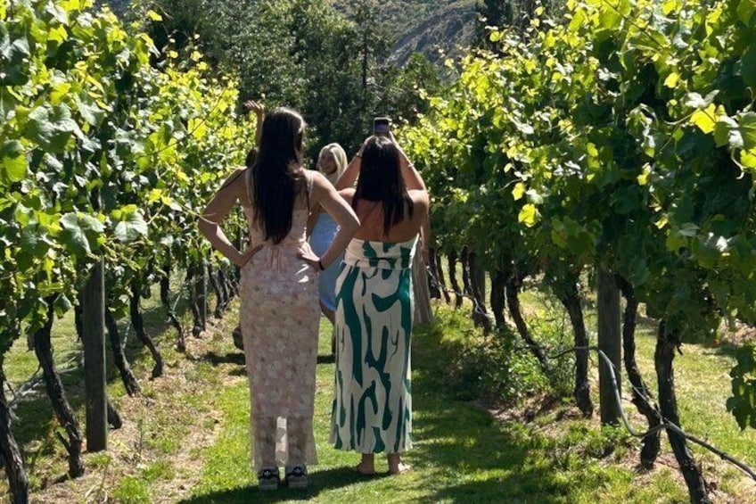 Queenstown Wine Tour: Two Wine Regions & Wine Cave | Adults Only 2
