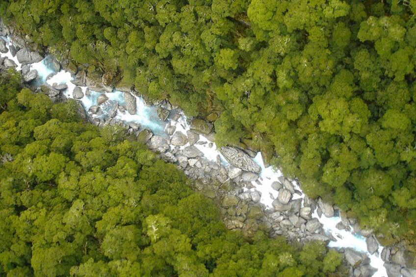 A river winding through a dense forest. 1