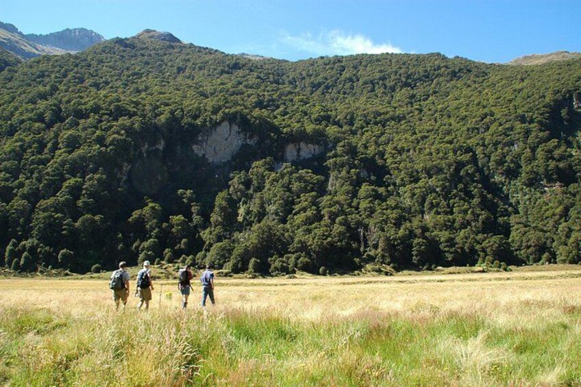 A group of hikers walking in a grassy field with a forested mountain in the background. 3