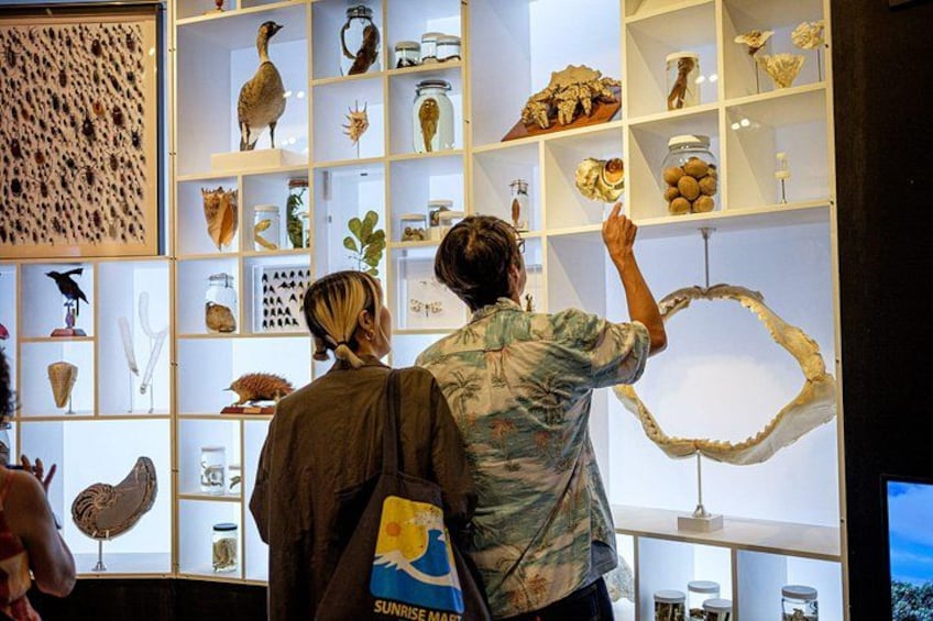 En museumsudstilling med forskellige naturhistoriske genstande udstillet på hylder. 2
