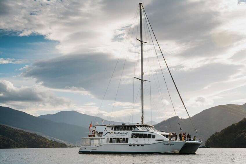 Seafood Odyssea Marlborough Sounds Cruise from Picton