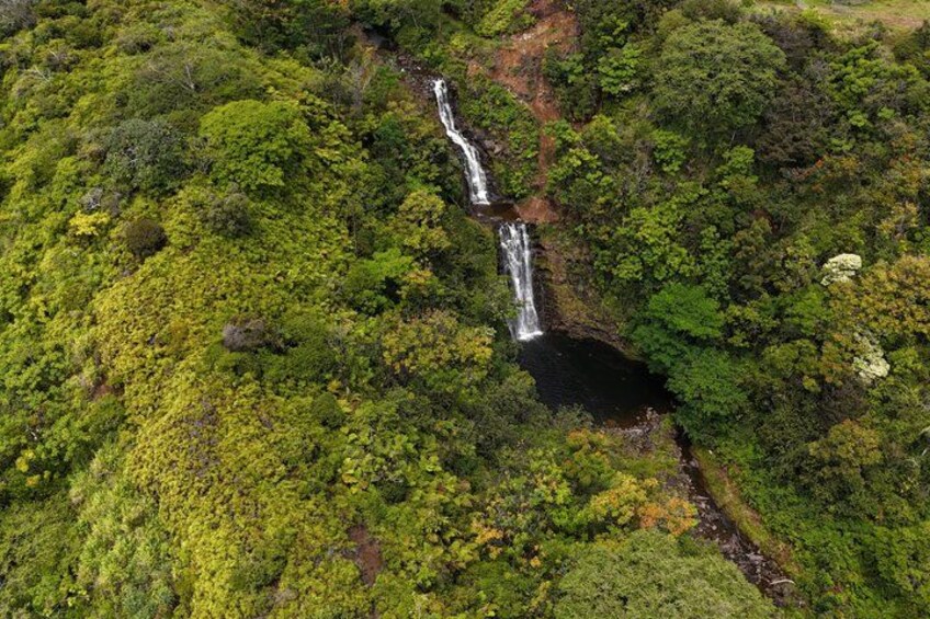Una cascada que desciende por una ladera verde y exuberante. 5