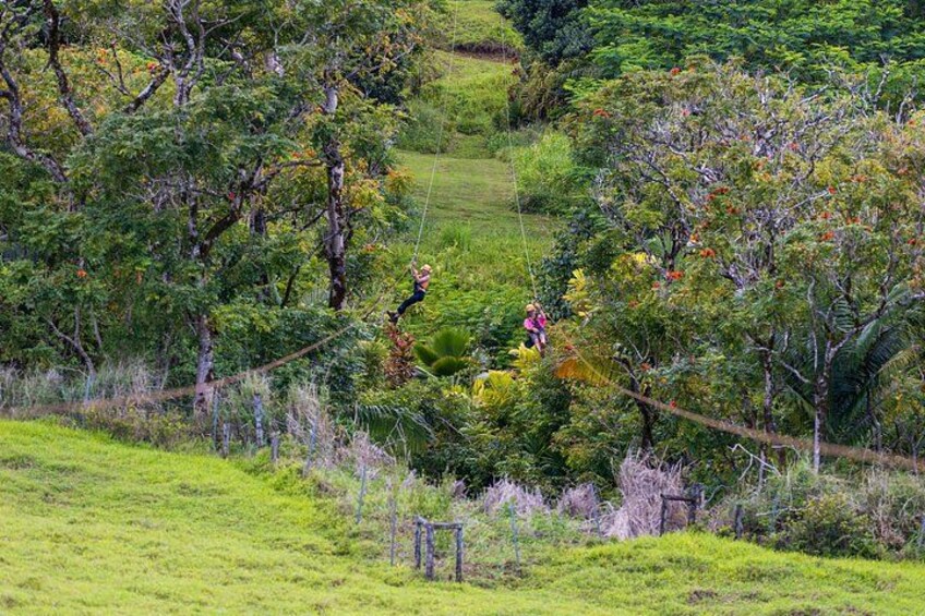 Two people walking on a rope bridge in a lush, green landscape. 5