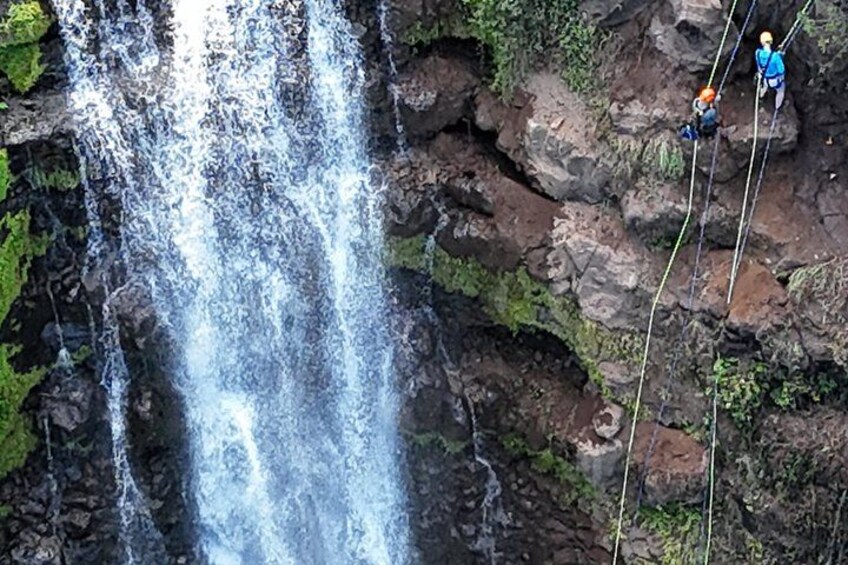 Big Island: 8-Zipline & Suspension Bridge Waterfall Adventure 4
