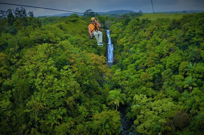 Big Island: 8-Zipline & Suspension Bridge Waterfall Adventure 5