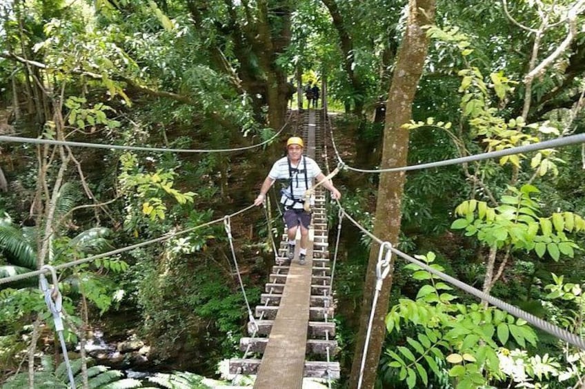 Suspension bridge in the rainforest 4