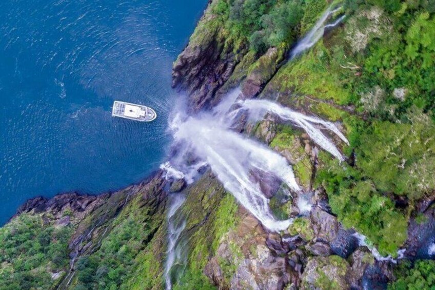 Premium Milford Sound Small Group Tour & Cruise from Queenstown 2