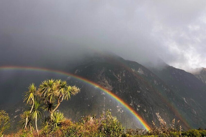 Premium Milford Sound Small Group Tour & Cruise from Queenstown 3