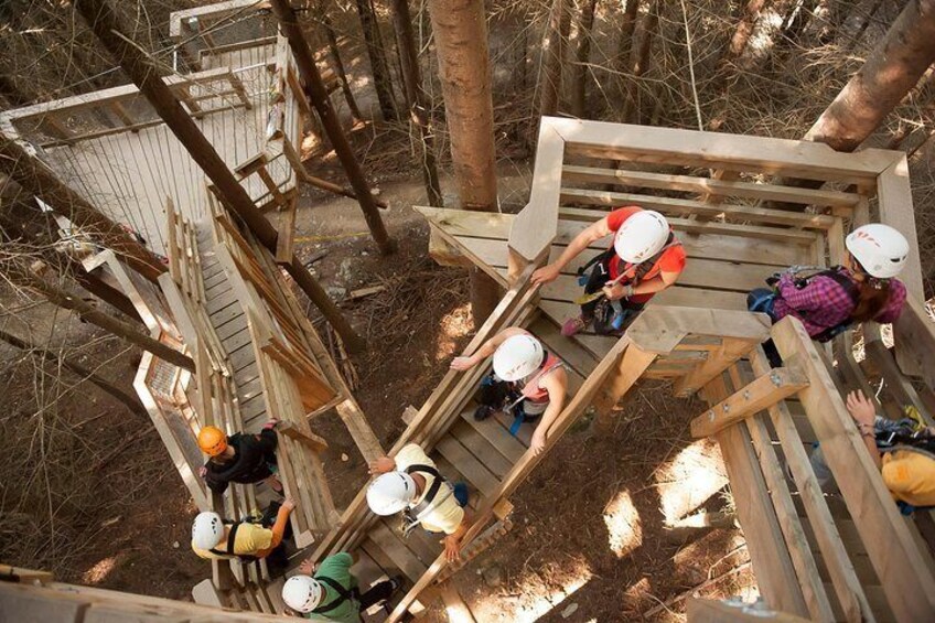 Exploring our treehouses up to 21m (70ft) off the forest floor