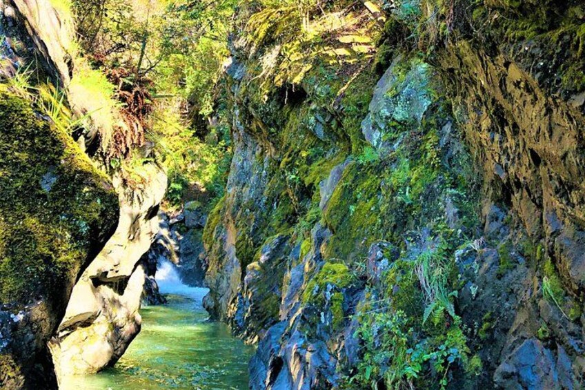12 Mile Delta nature walk 2