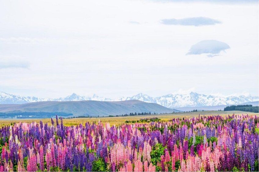 Stunning Scenery 4