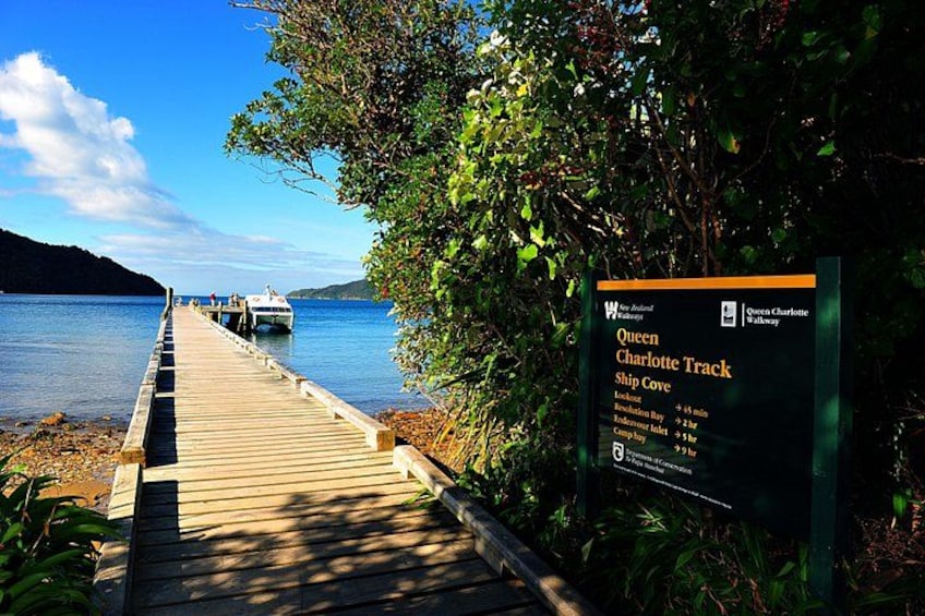 A wooden pier leading to a boat, a sign for the Queen Charlotte Track, and a clear blue sky. 2