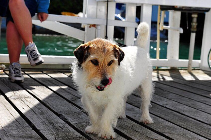 Happy resident waiting for a treat 2