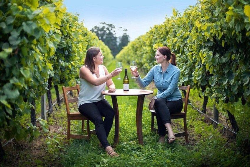 Two people sitting at a table in a vineyard, surrounded by rows of grapevines. 2
