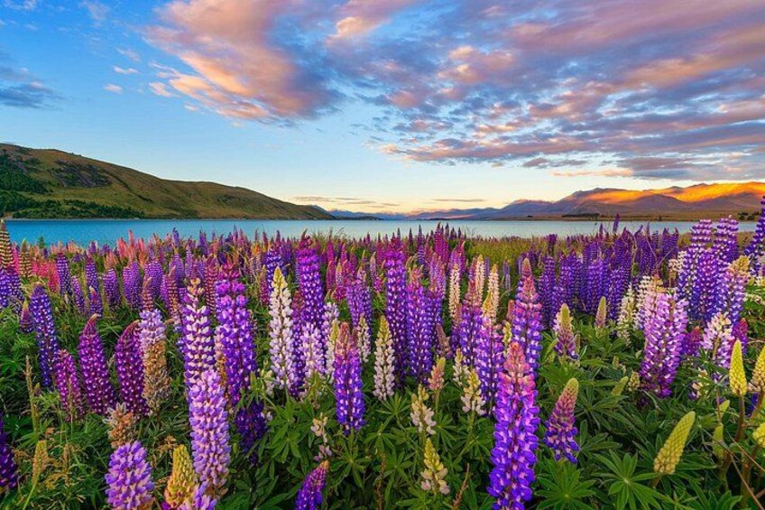 Day Tours from Mount Cook 2
