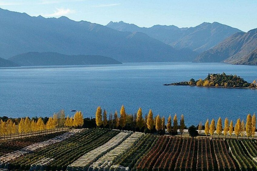 One of the stunning views you'll see! 4