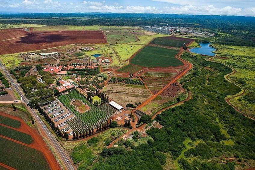 Dole Plantation on the North Shore 2
