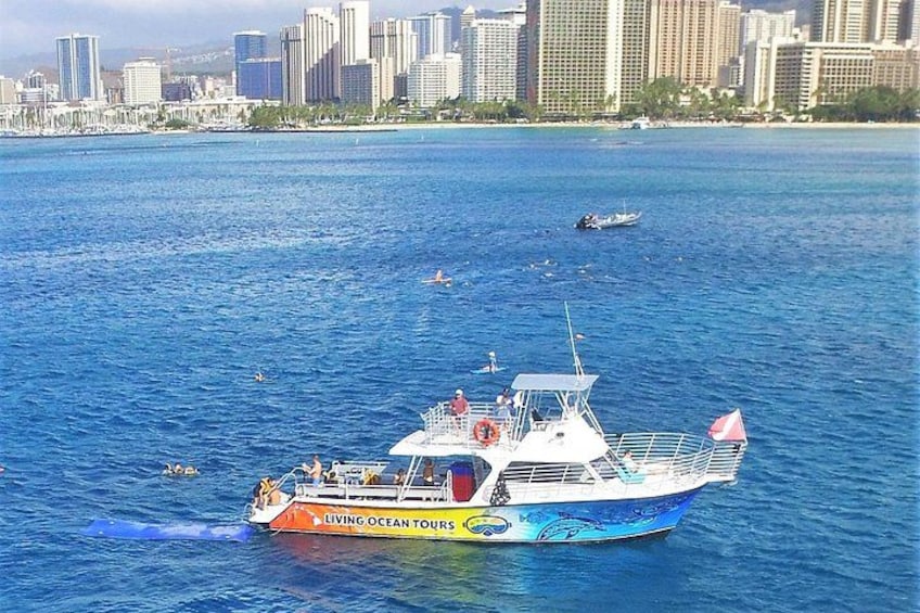 A boat with 'Living Ocean Tours' written on it, sailing on a body of water with a city skyline in the background. 3