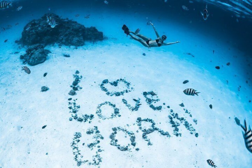 Full-Day Bora Bora Lagoon Cruise Including Snorkeling with Sharks and Stingrays 5
