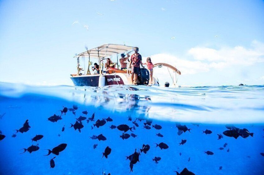 Bora Bora Combo Tour: Lagoon Cruise and 4WD Tour Including Snorkeling 3