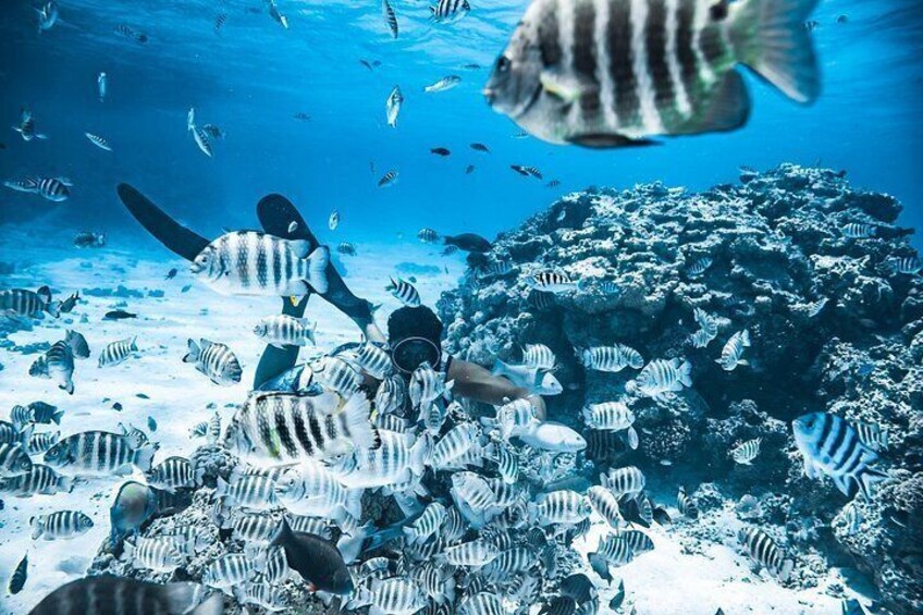 Bora Bora Combo Tour: Lagoon Cruise and 4WD Tour Including Snorkeling 2
