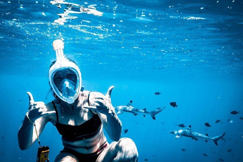 A person scuba diving underwater with a snorkel and mask, surrounded by fish. 3