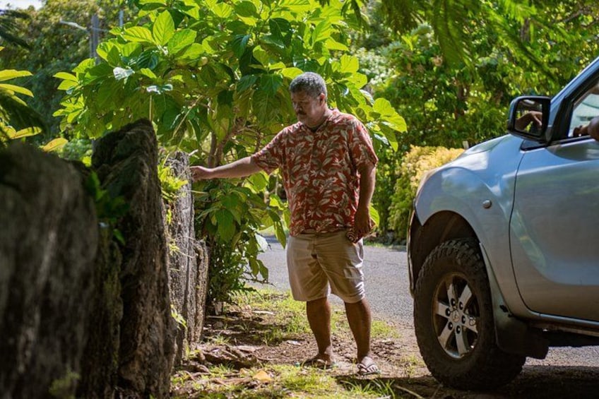 En person i mønstret skjorte og shorts står ved et træ og en parkeret bil. 1