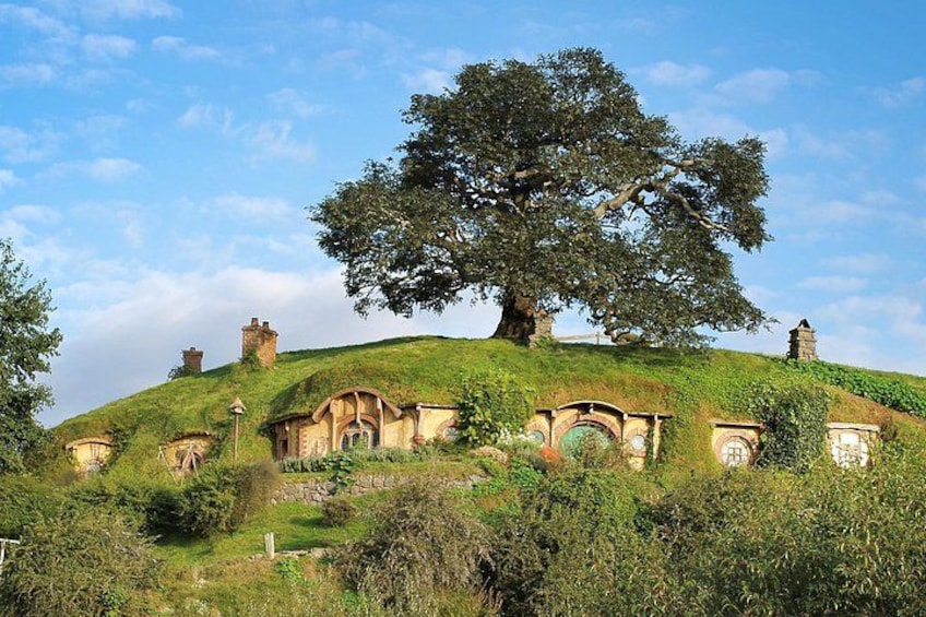 Hobbiton Day Tour from Rotorua with lunch at Hobbiton 2