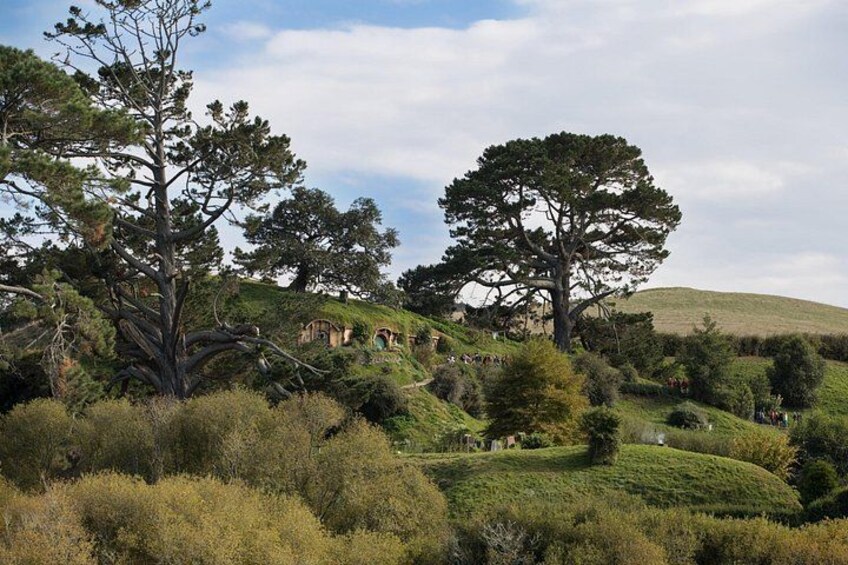 Hobbiton Day Tour from Rotorua with lunch at Hobbiton 2