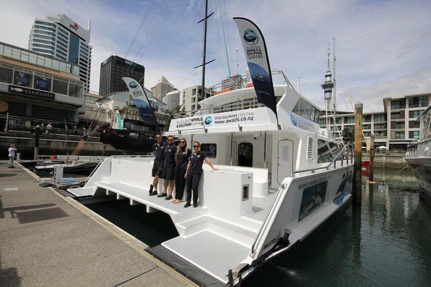 Departing from Auckland's Viaduct Harbour 5