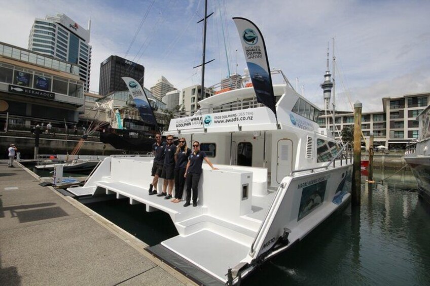 Departing from Auckland's Viaduct Harbour 5
