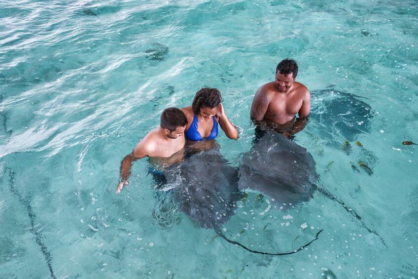 Drie mensen zwemmen met grote zeedieren in helderblauw water. 5